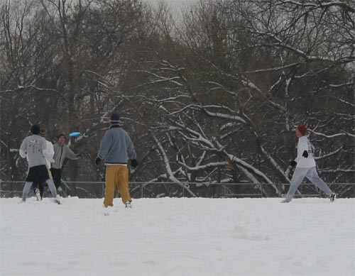 Frisbee in the Snow